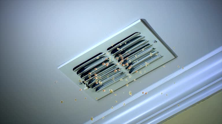 Best Affordable Air Duct Cleaning  in Naples, TX