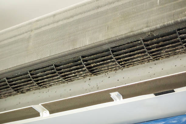 Best Commercial Air Duct Cleaning  in Naples, TX
